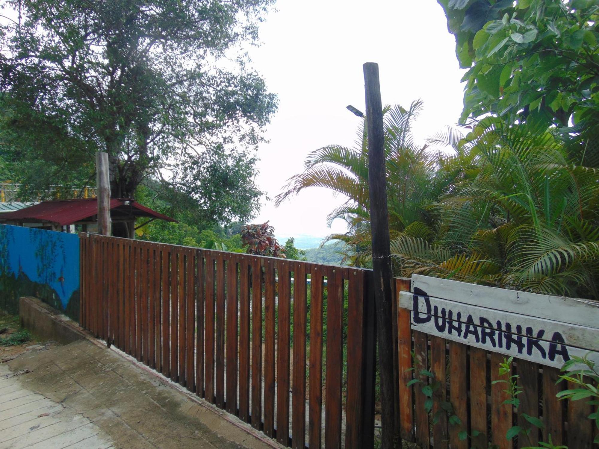 Dunarinka Minca Extérieur photo